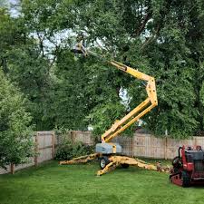 Niceville, FL Tree Removal and Landscaping Services Company